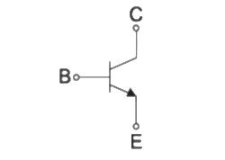 BCP56