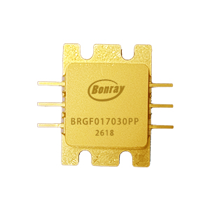 BRGF017030PPG