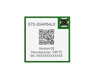 E73-2G4M54LX(05)